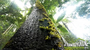 Mount Tambuyukon Expedition  